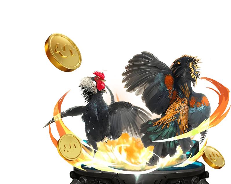 Trực tiếp đá gà 78win